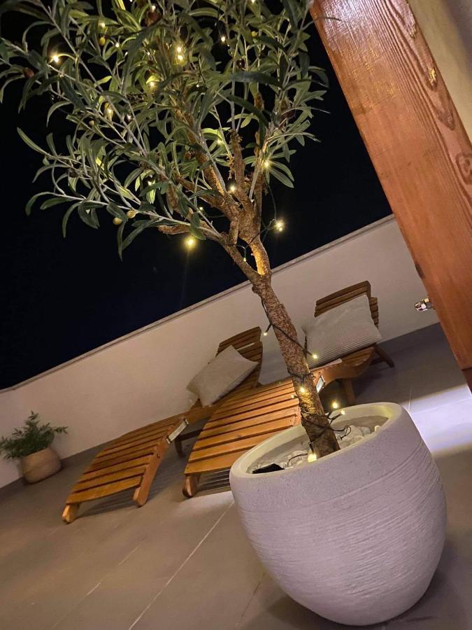 Vila Palit 497 D Apartment E المظهر الخارجي الصورة