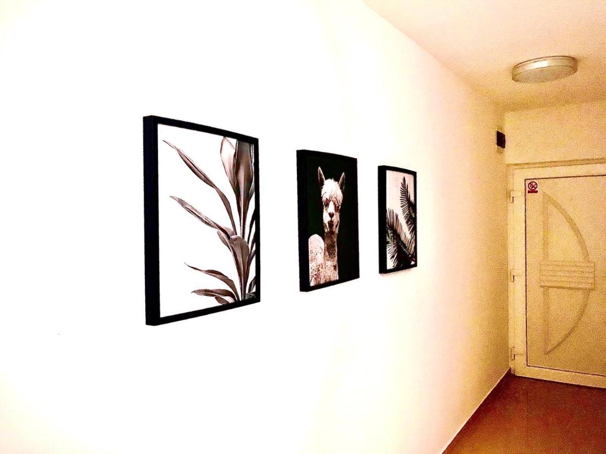 Vila Palit 497 D Apartment E المظهر الخارجي الصورة