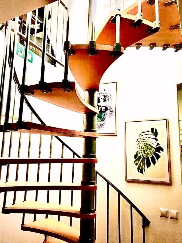 Vila Palit 497 D Apartment E المظهر الخارجي الصورة